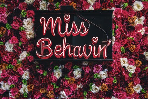 沭阳新河花农开设“网上花店”2000多家